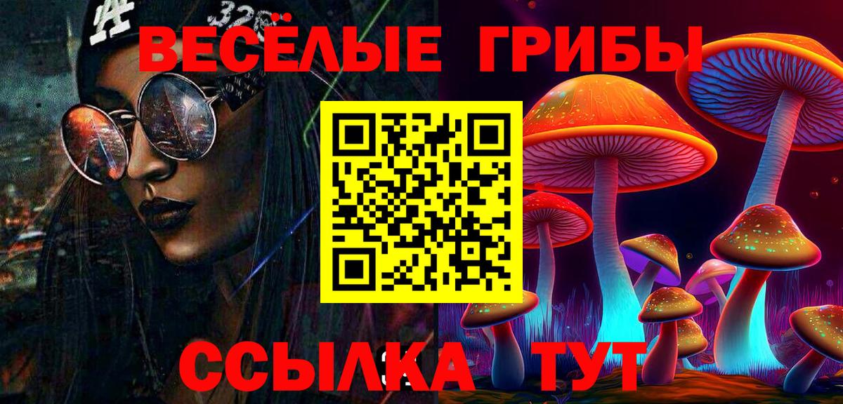 Златоуст  Галлюциногенные грибы Magic Shrooms  Вход с VPN 