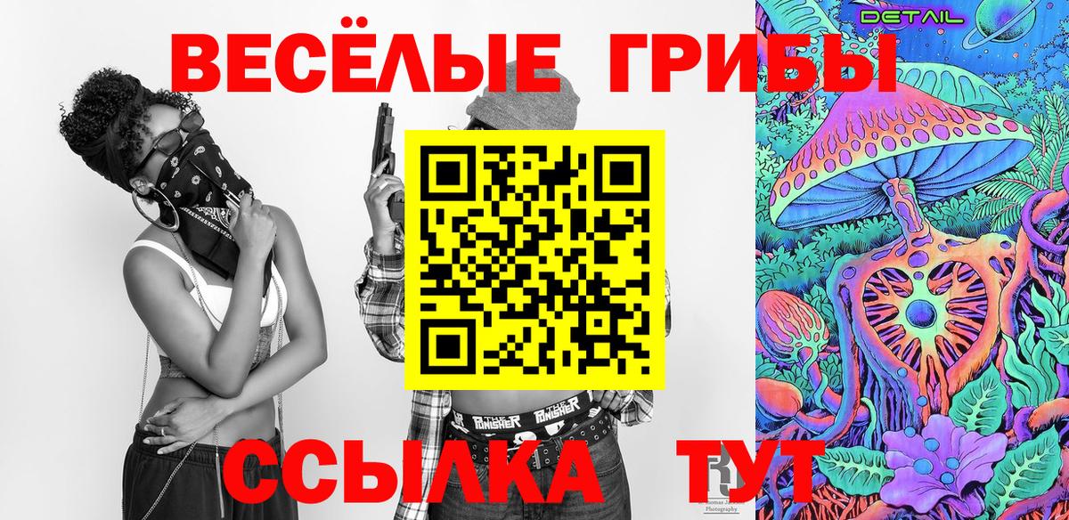 Псилоцибиновые грибы Psilocybe Златоуст